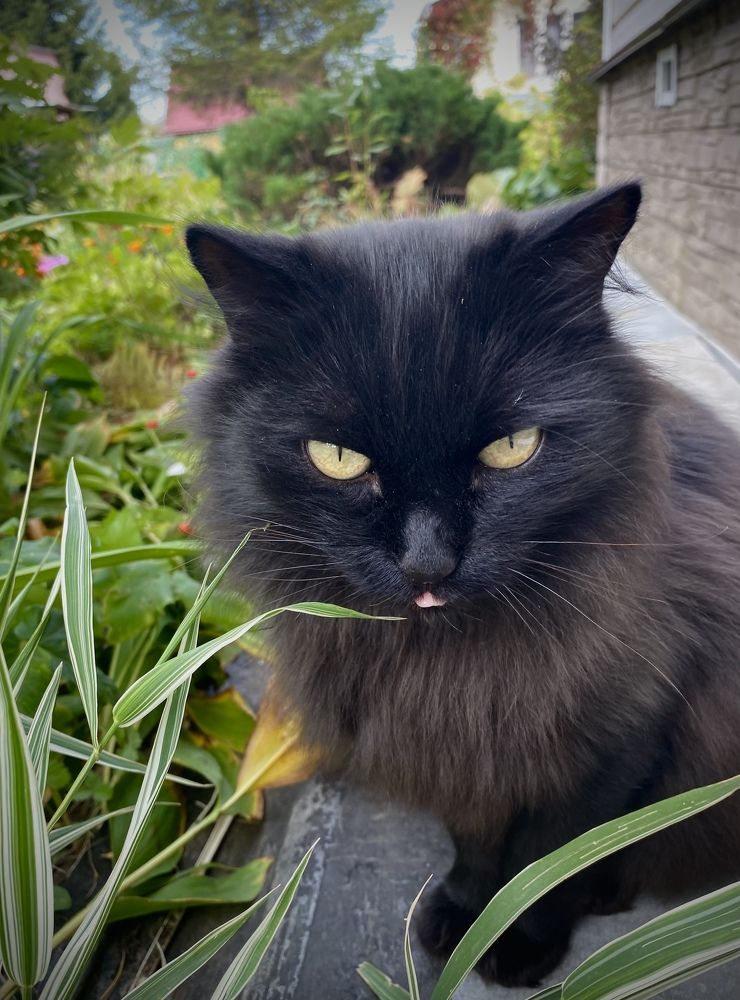 Photograph by Алиса Лукина