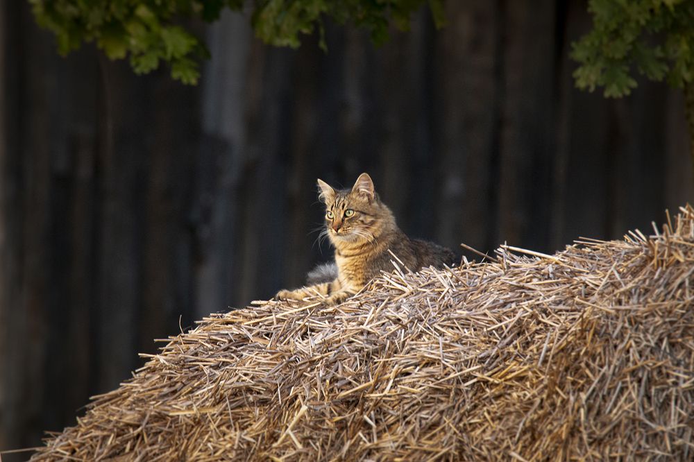 Photograph by Илья Ермакович