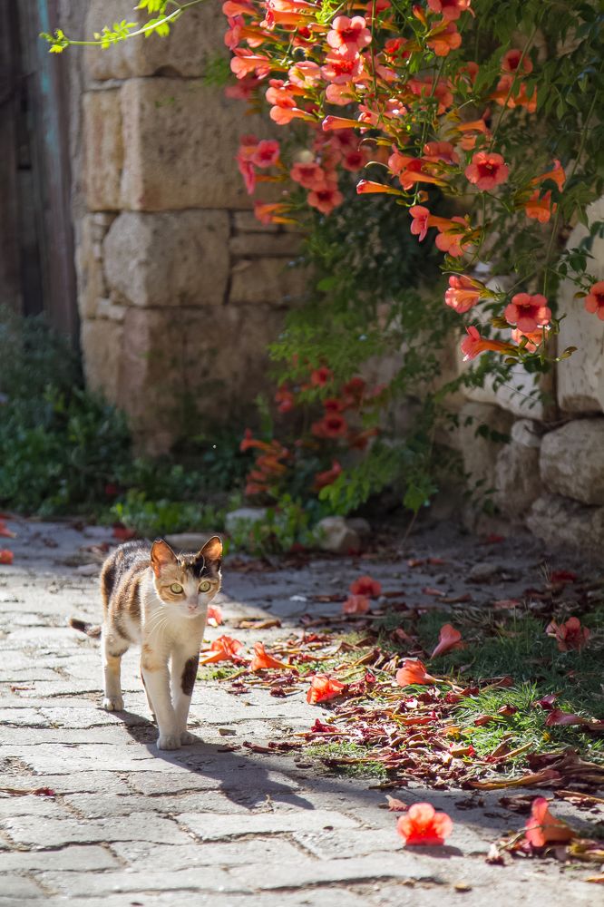 Photograph by Olga Min