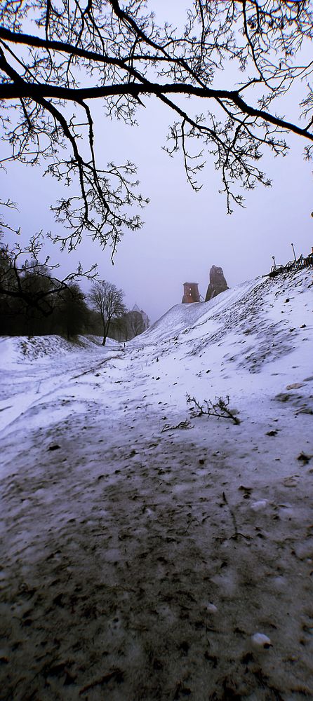 Фотография автора Алла Макаревич