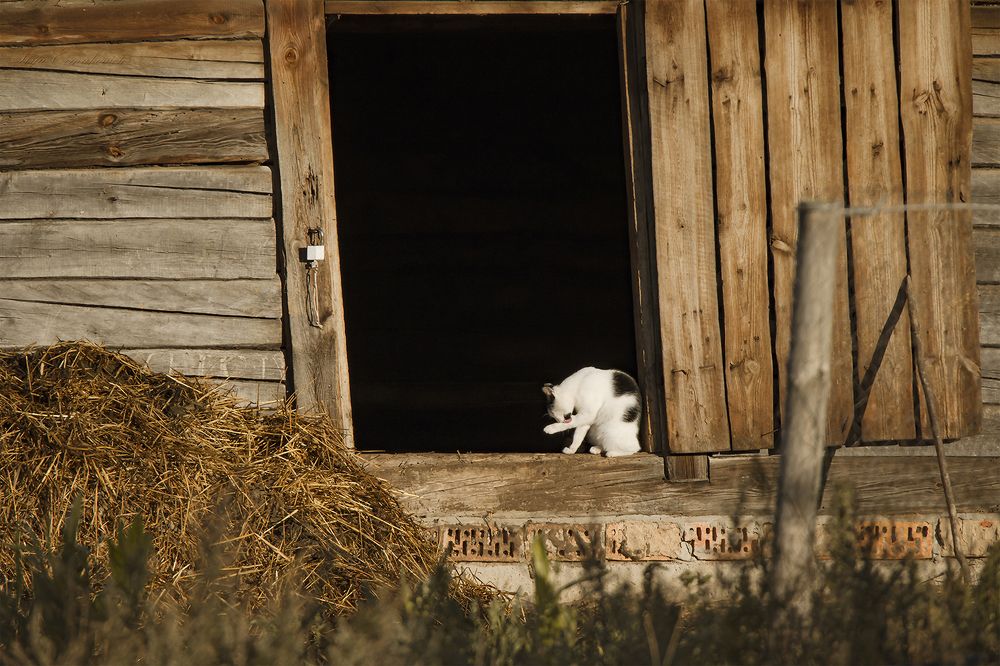 Photograph by Илья Ермакович