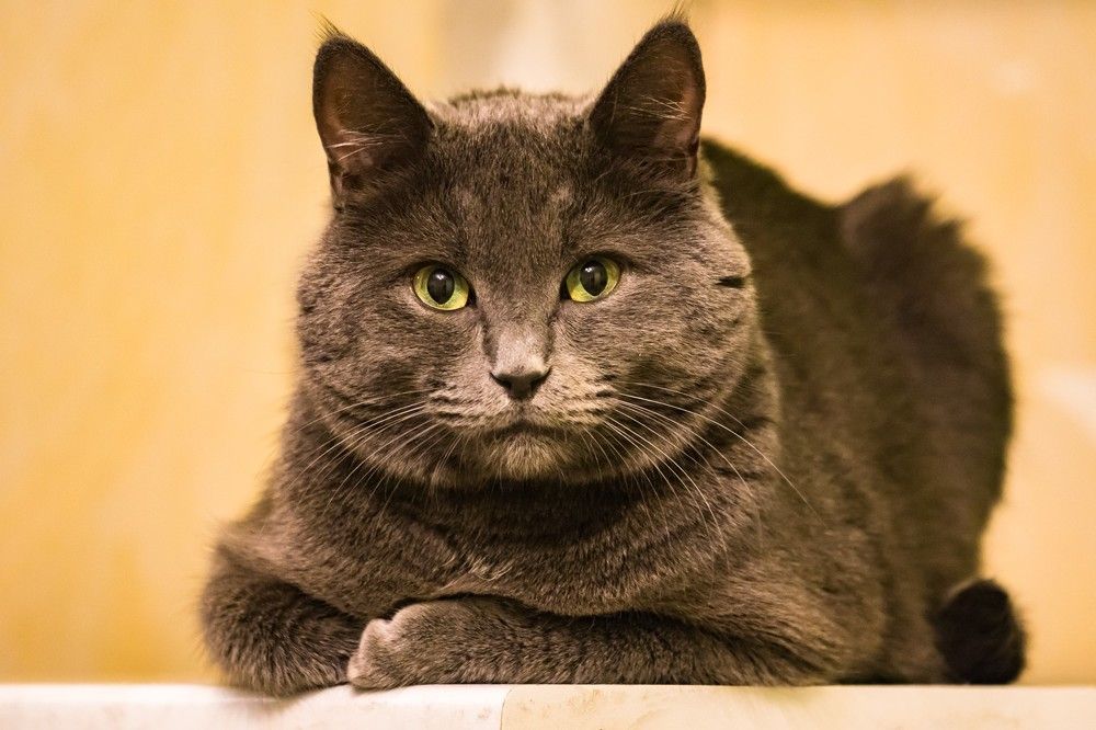 Photograph by Татьяна Гладкова