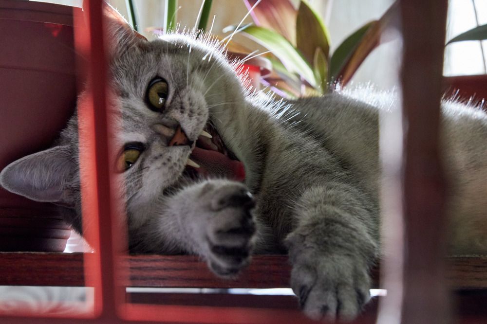 Photograph by Алексей Швецов