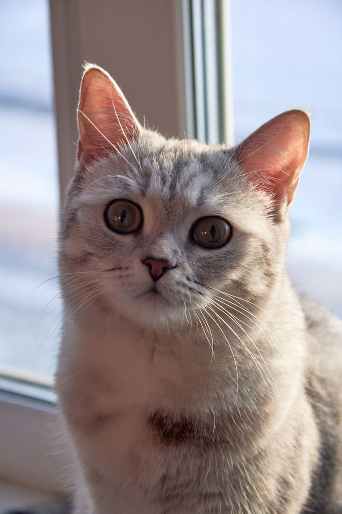 Photograph by Алексей Швецов