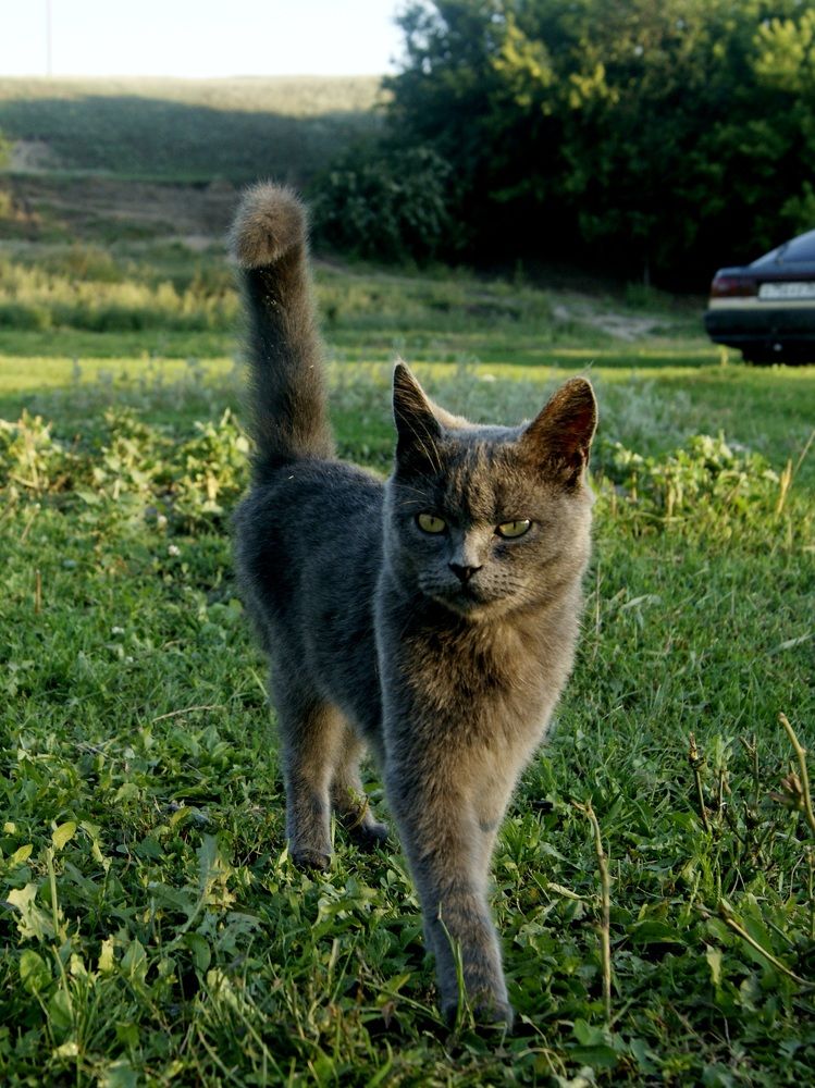 Photograph by Андрей Хитрун