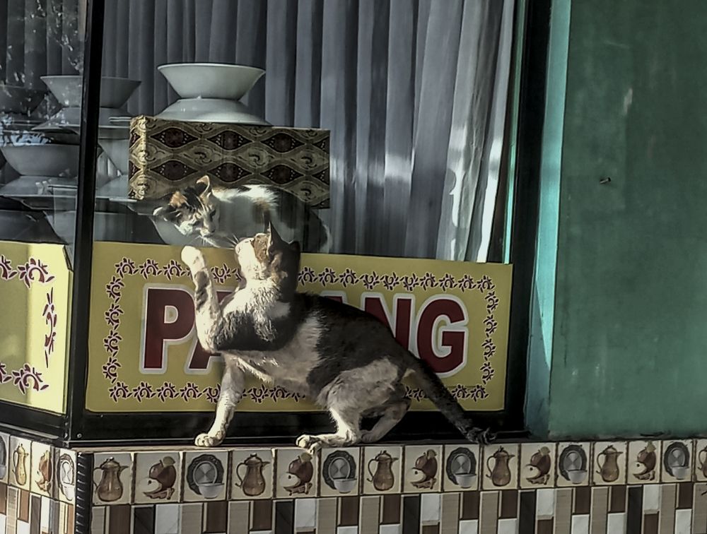 Photograph by Pujo Cahyono