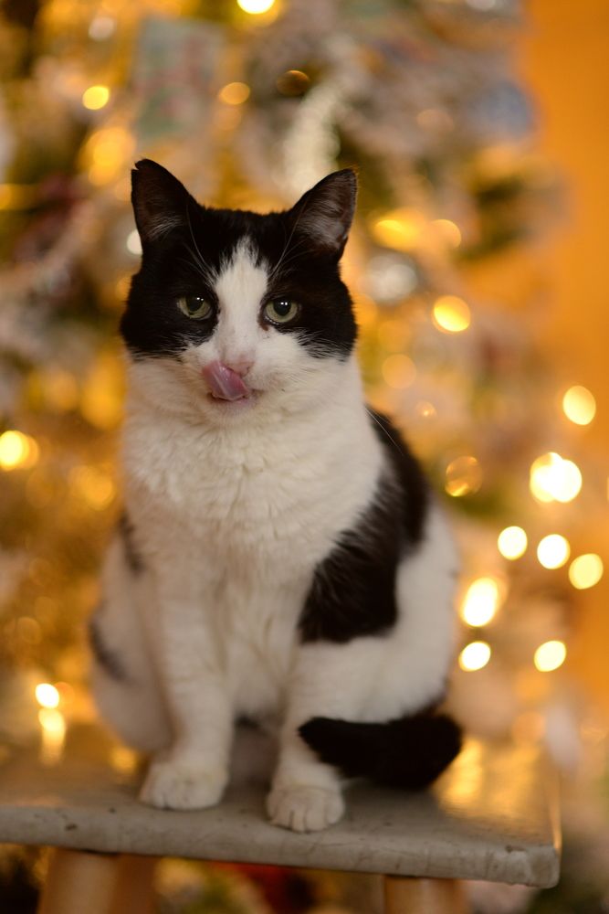 Photograph by Олеся Парфенова