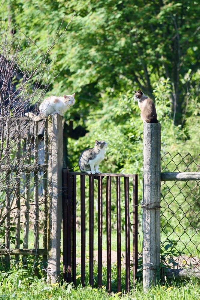 Photograph by Елена Смирнова