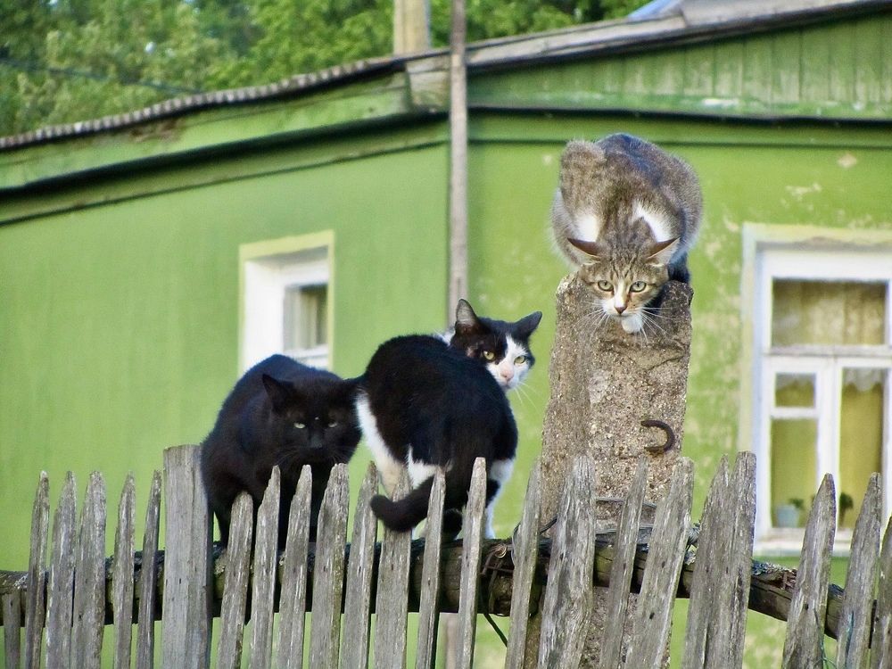 Photograph by Елена Смирнова