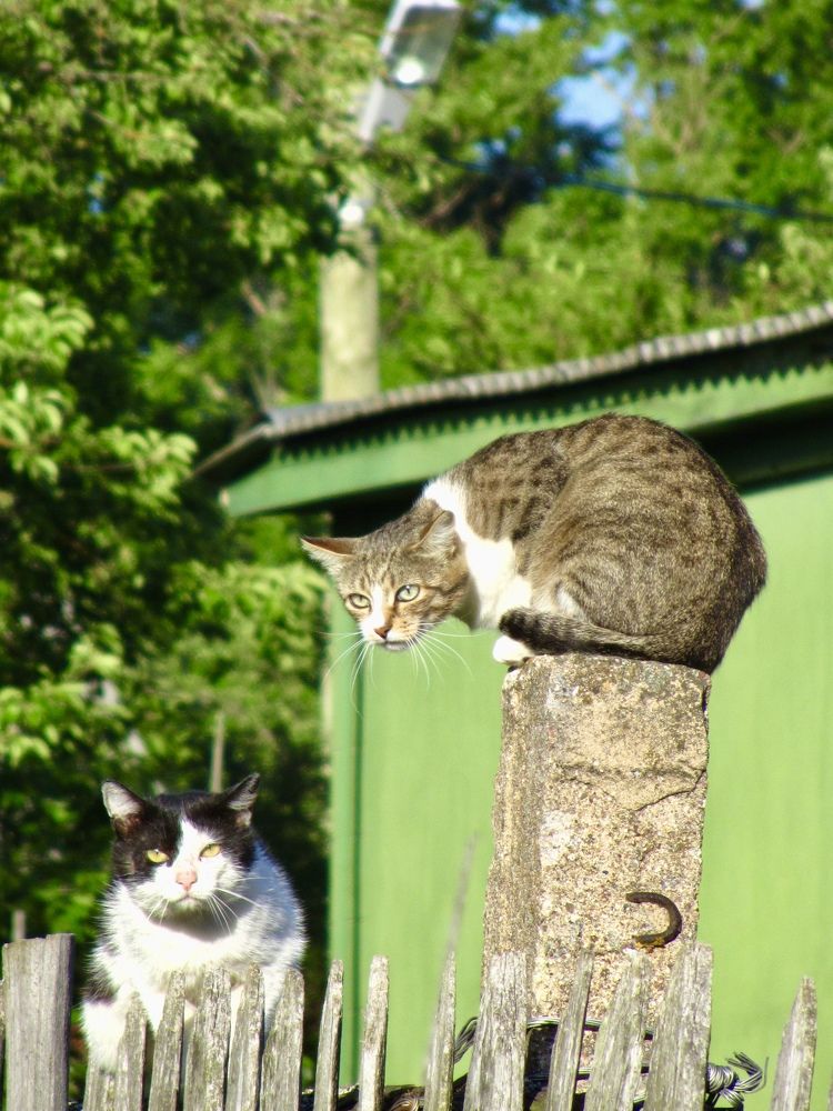 Photograph by Елена Смирнова