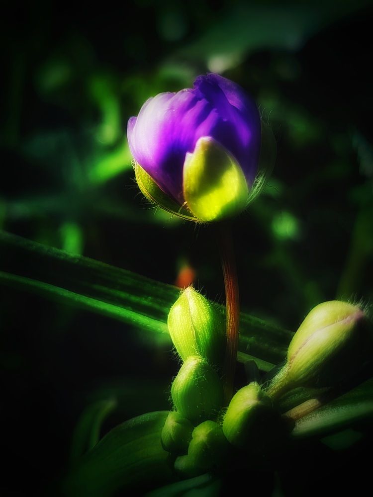 Photograph by Екатерина Цыбулькина