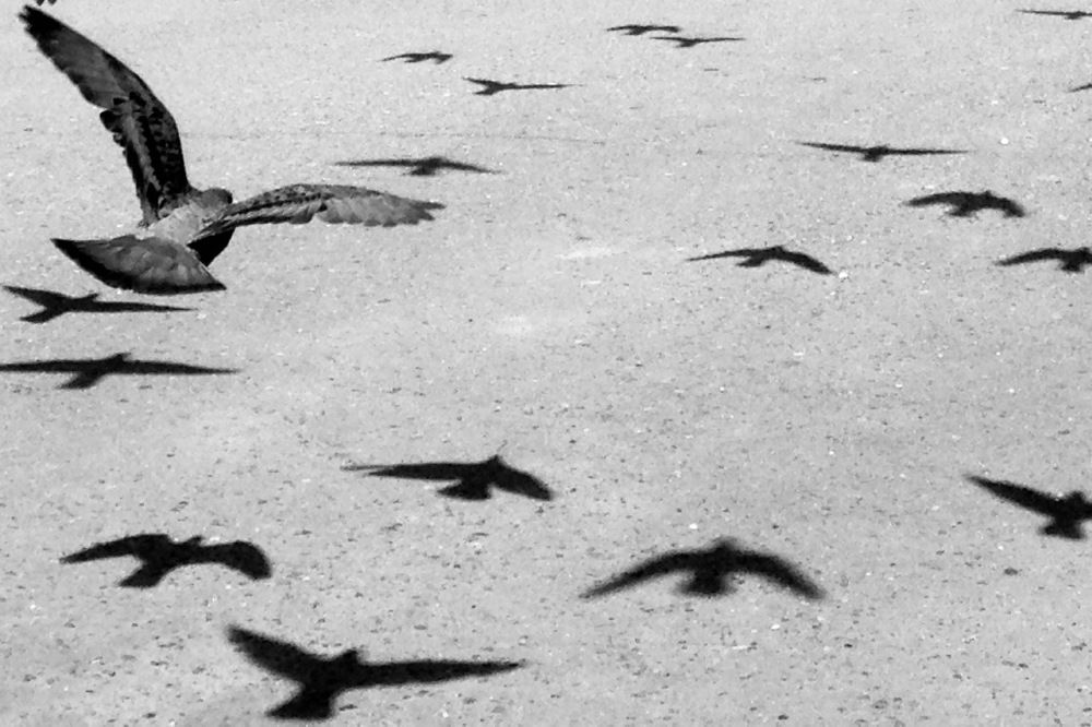 Photograph by Irina Timonina