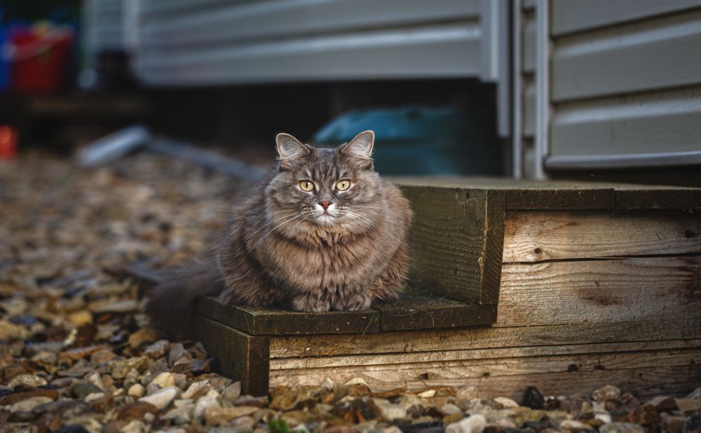 Photograph by Зеленько Дмитрий