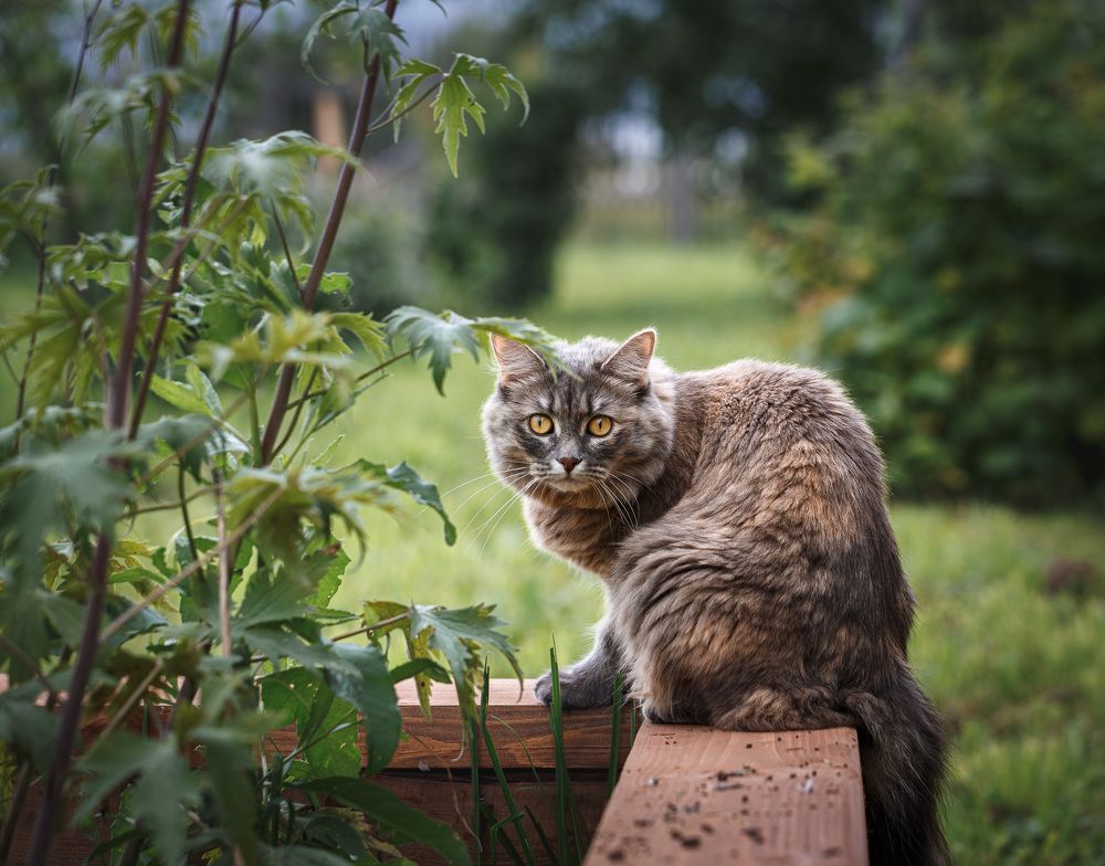 Photograph by Зеленько Дмитрий