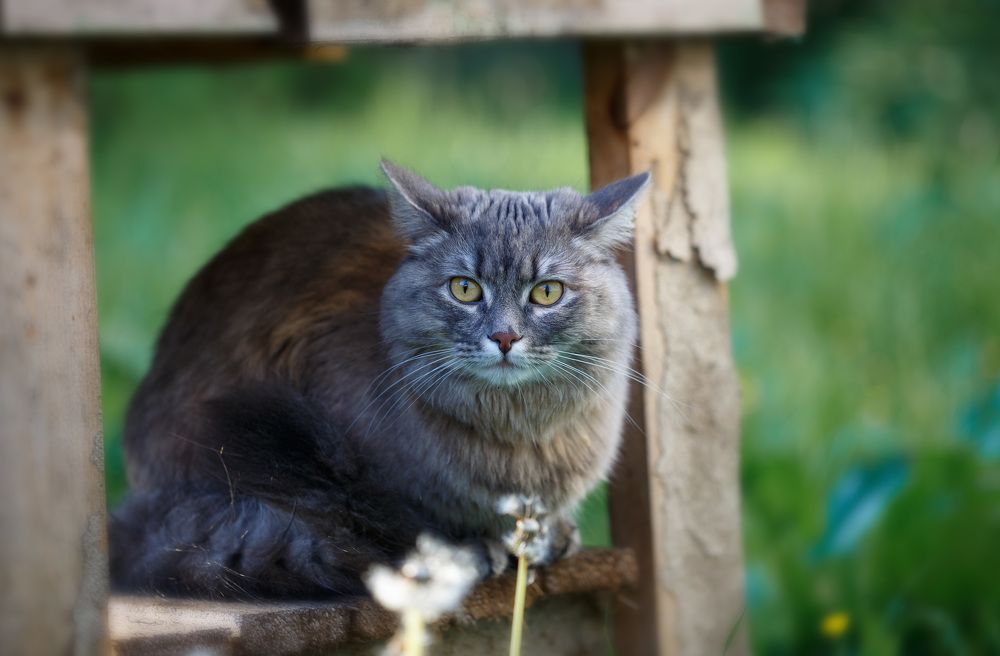 Photograph by Зеленько Дмитрий