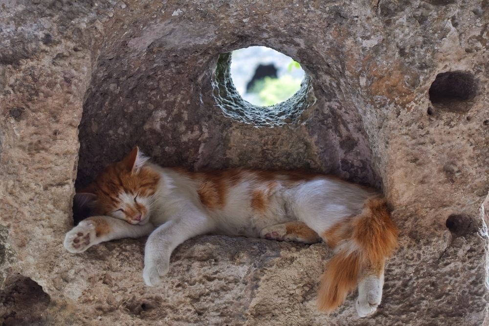 Photograph by Роман Крутов