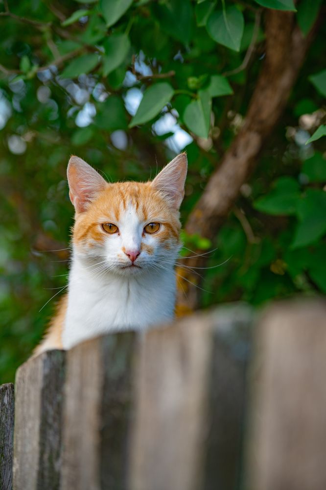 Photograph by Евгений Калагаев