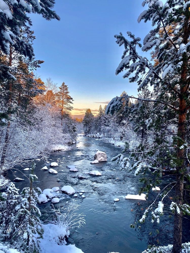 Photograph by Вероника Алиризаева