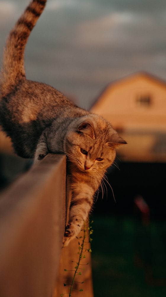 Photograph by Евгений Калагаев