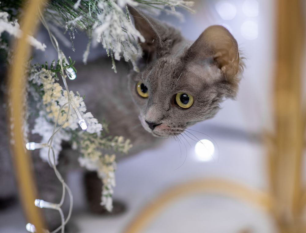 Photograph by Оксана Шаяхметова