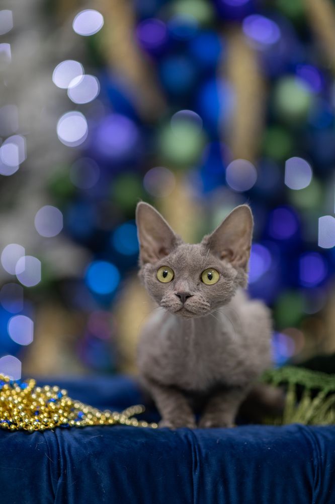 Photograph by Оксана Шаяхметова