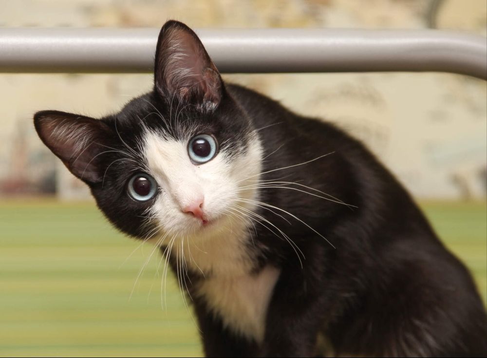 Photograph by Алина