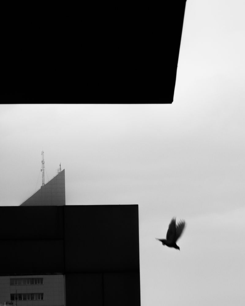 Photograph by seyed mostafa yousefi