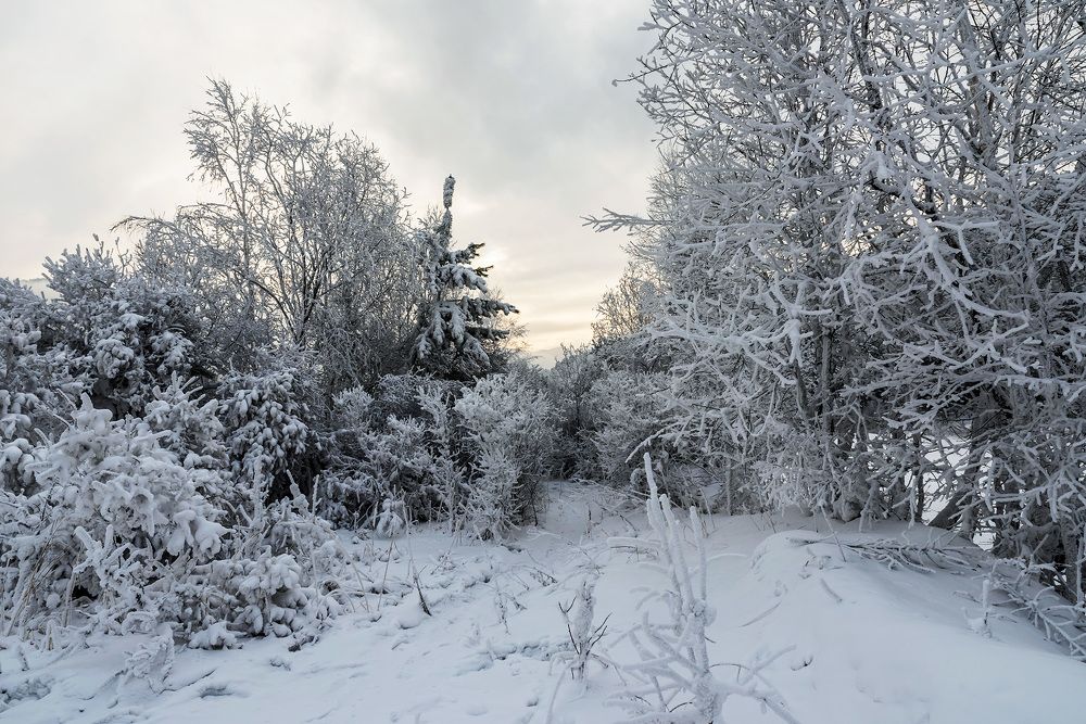 Photograph by Игорь Боголюбов