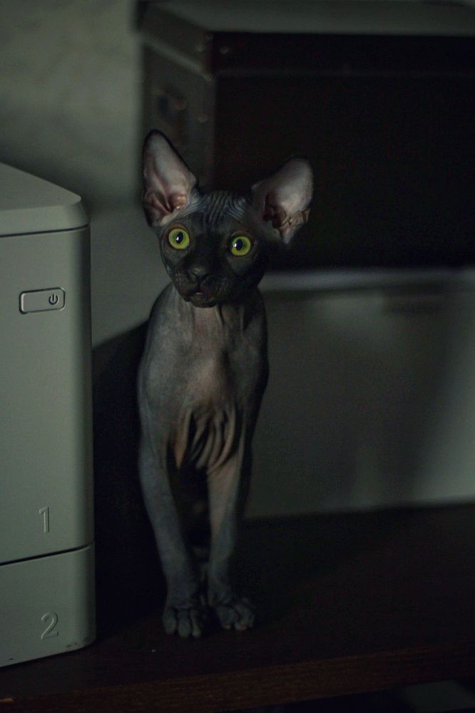 Photograph by Irina  Vasilyeva