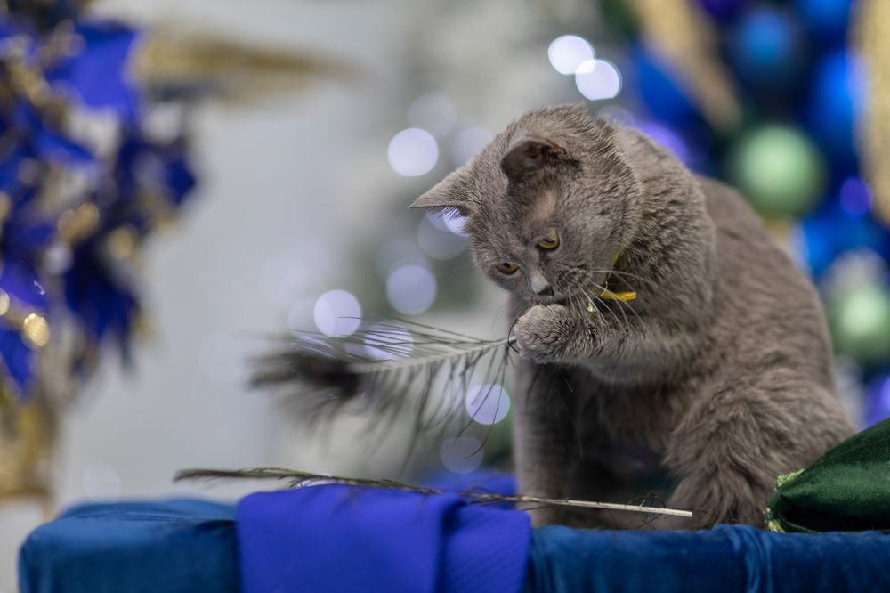 Photograph by Оксана Шаяхметова