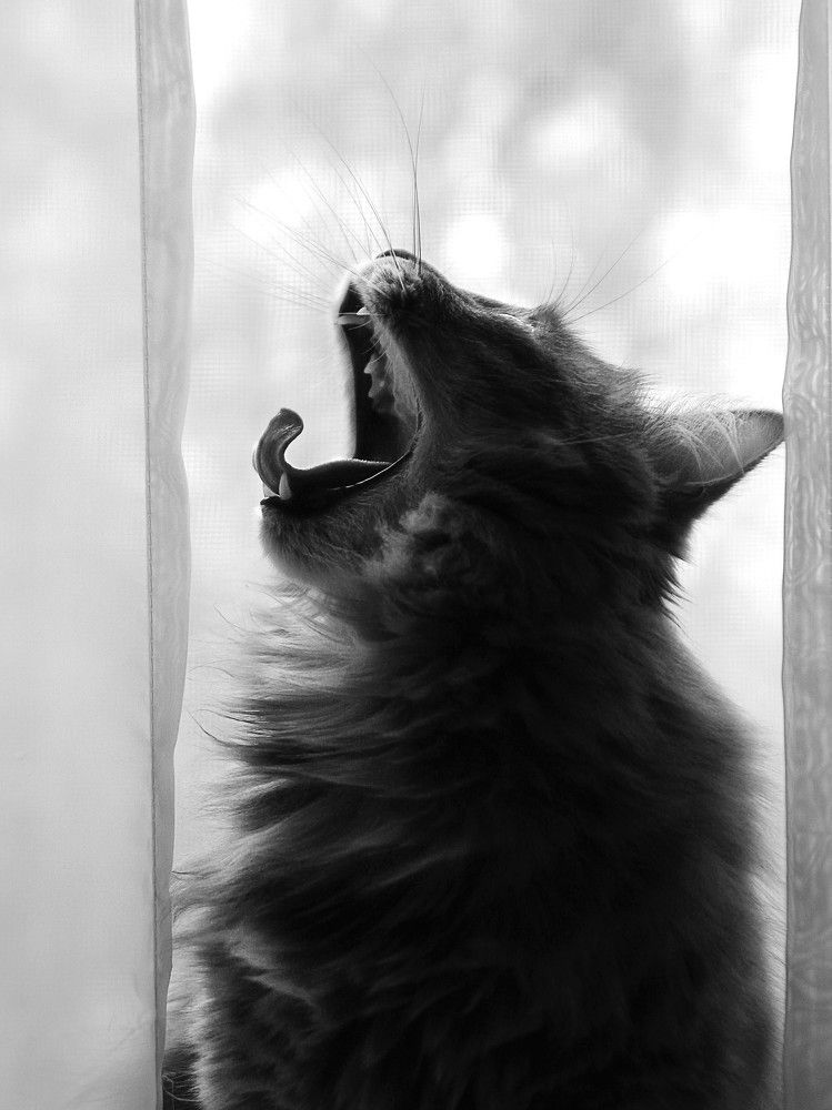 Photograph by Елена Кондратьева