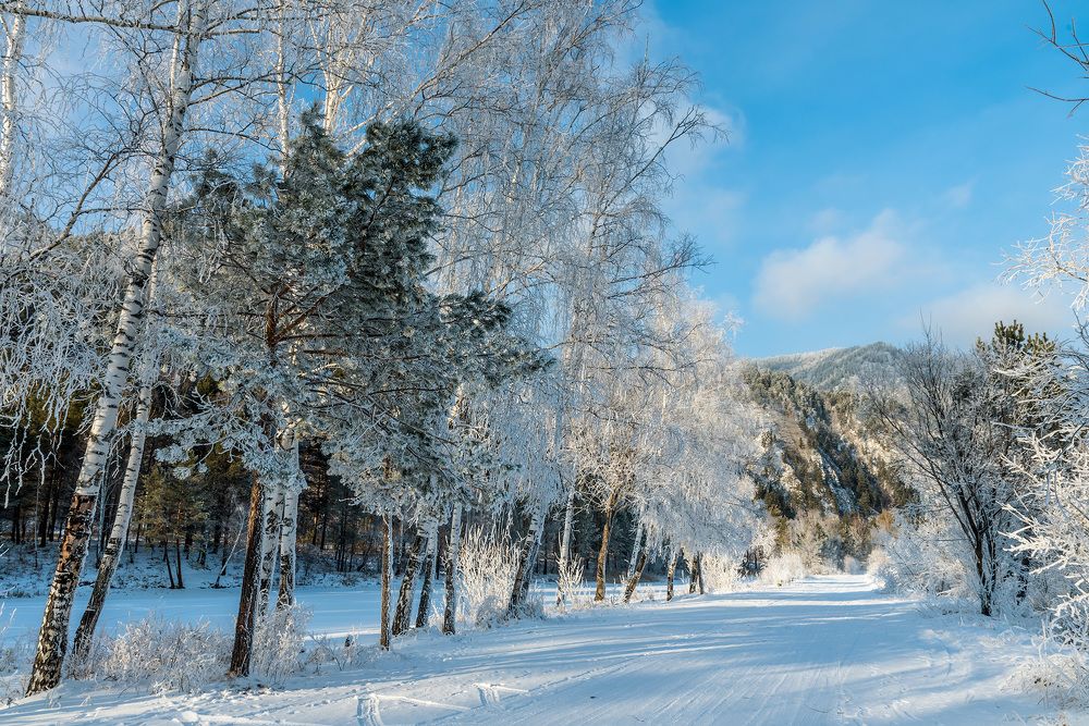 Photograph by Игорь Боголюбов