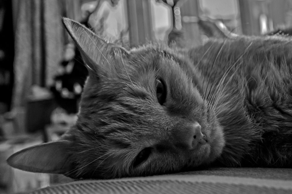 Photograph by Игорь Грашин