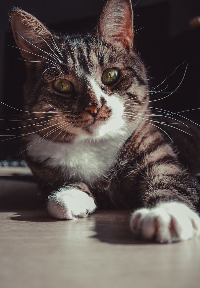 Фотография автора Яковлева Людмила