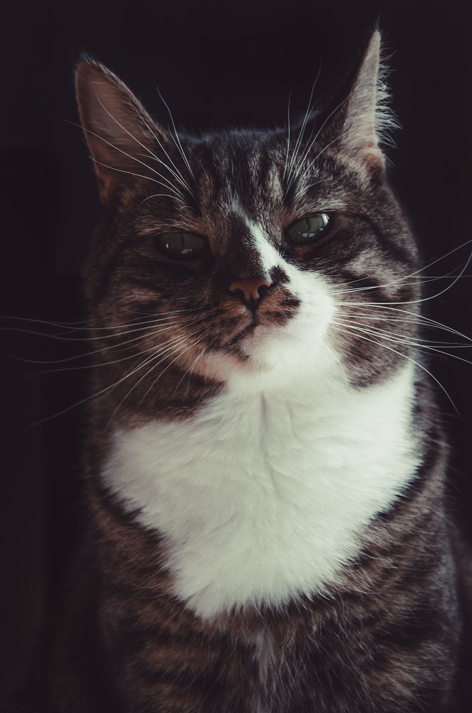 Фотография автора Яковлева Людмила