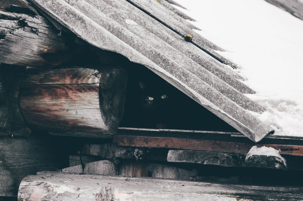 Мастер маскировки