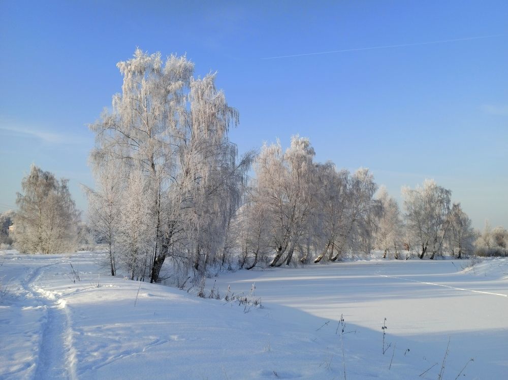 Photograph by Eлена Смирнова