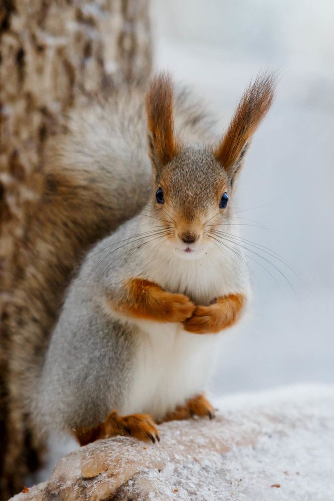 Photograph by Ирина Иванова