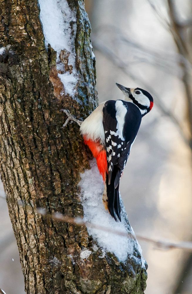 Photograph by Ирина Иванова