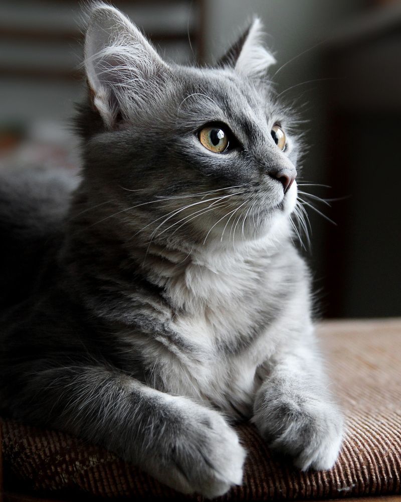 Photograph by Елена Кондратьева