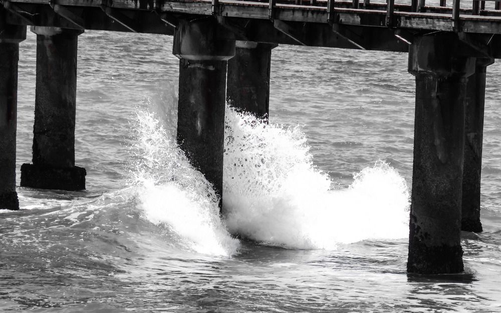 Photograph by Basie Marais