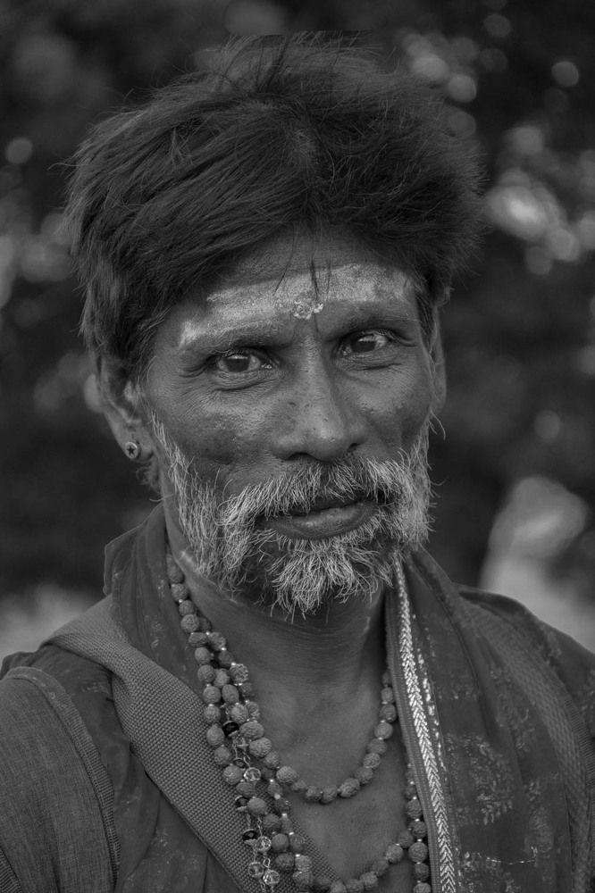 Photograph by Sajeeth