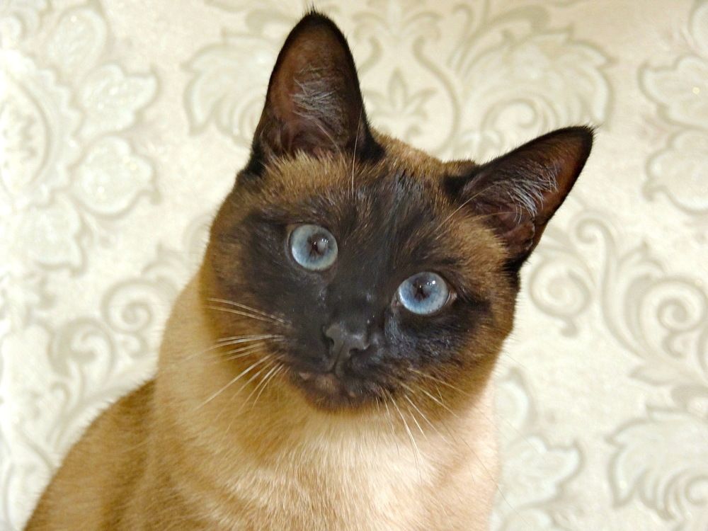 Photograph by Николай Николаевич Леухин