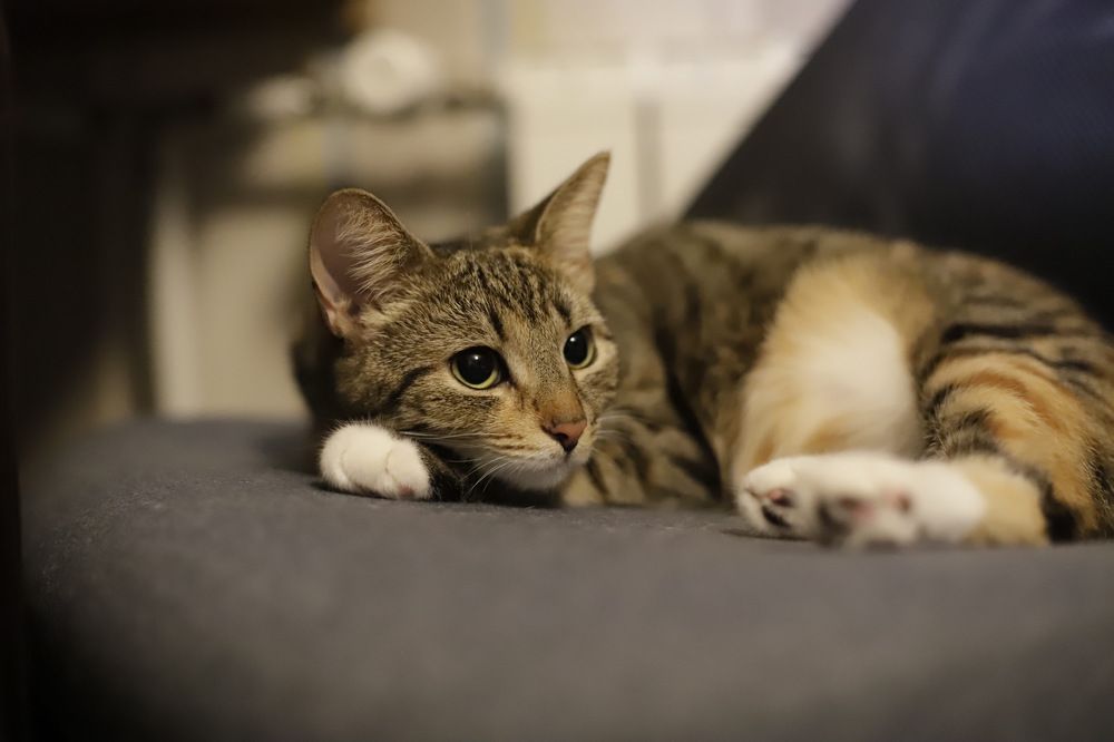 Photograph by Марина Егорова