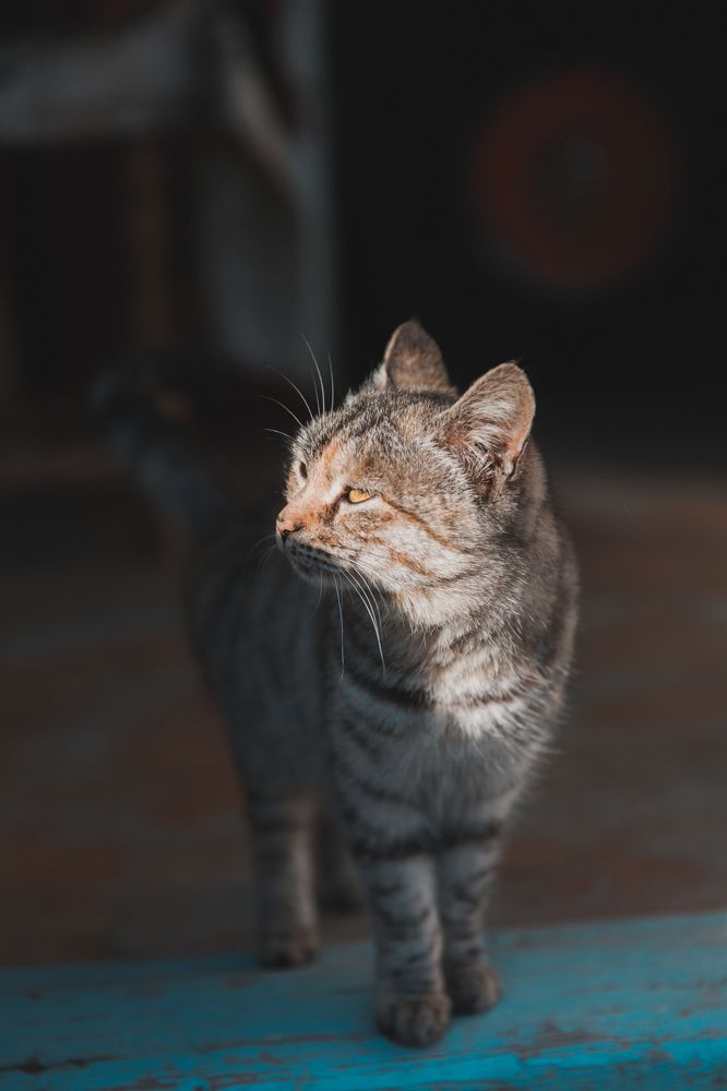 Photograph by Темур Талипов