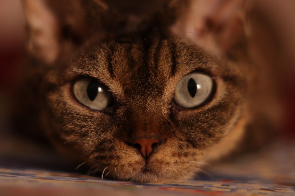 Photograph by Анастасия Слободская