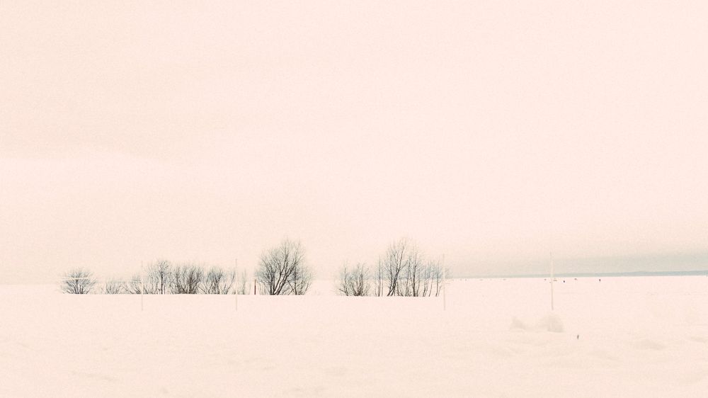 Photograph by Alex
