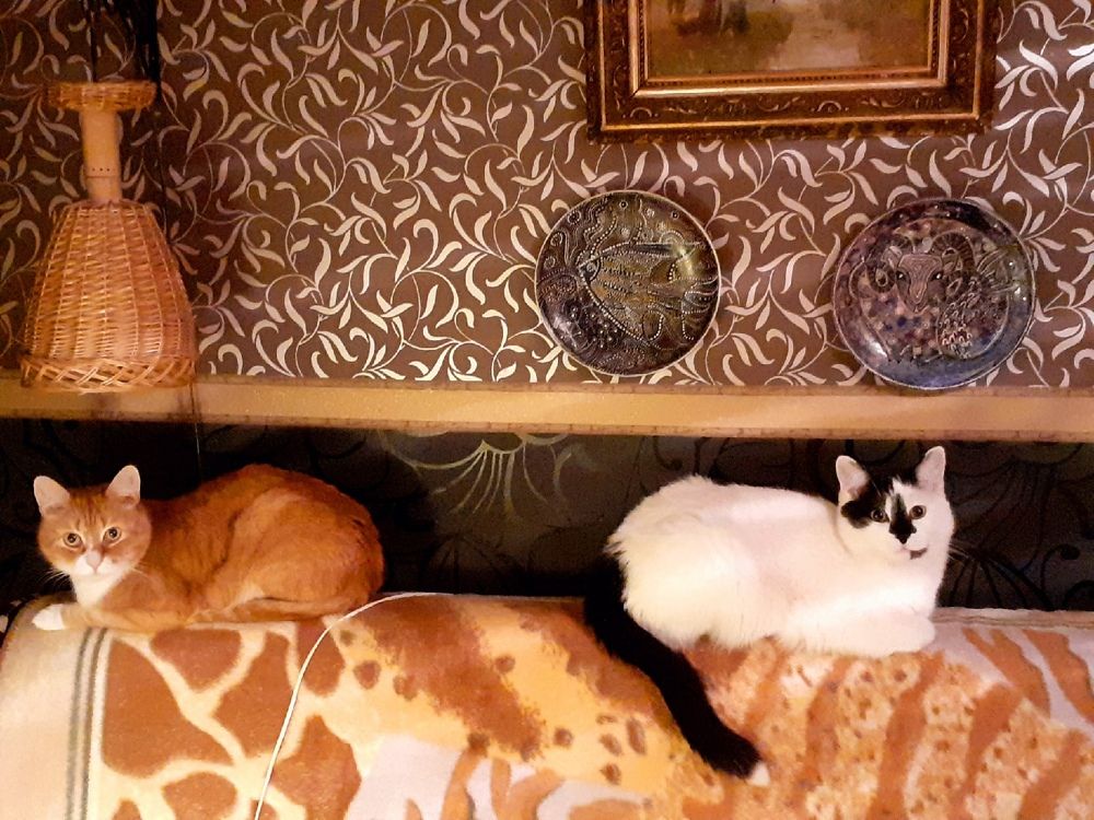 Photograph by Евгения Ульянова