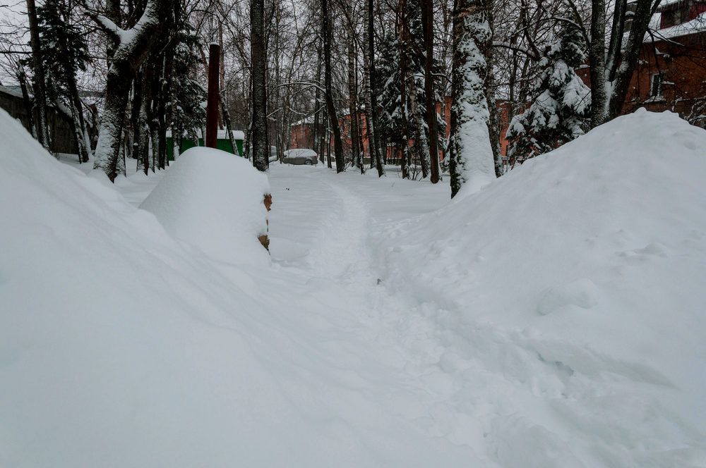 Фотография автора Виталий Дузь