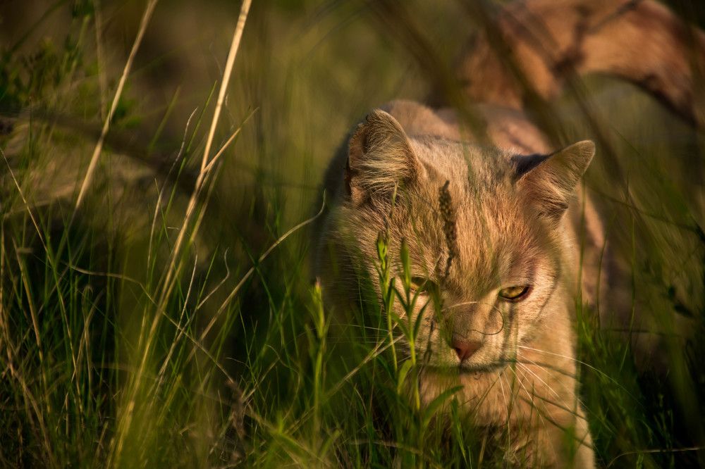 Photograph by Елена Прохорова